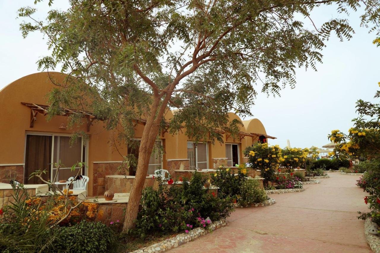 Silver Beach Boutique Hotel (Adults Only) El Qoseir Exterior photo